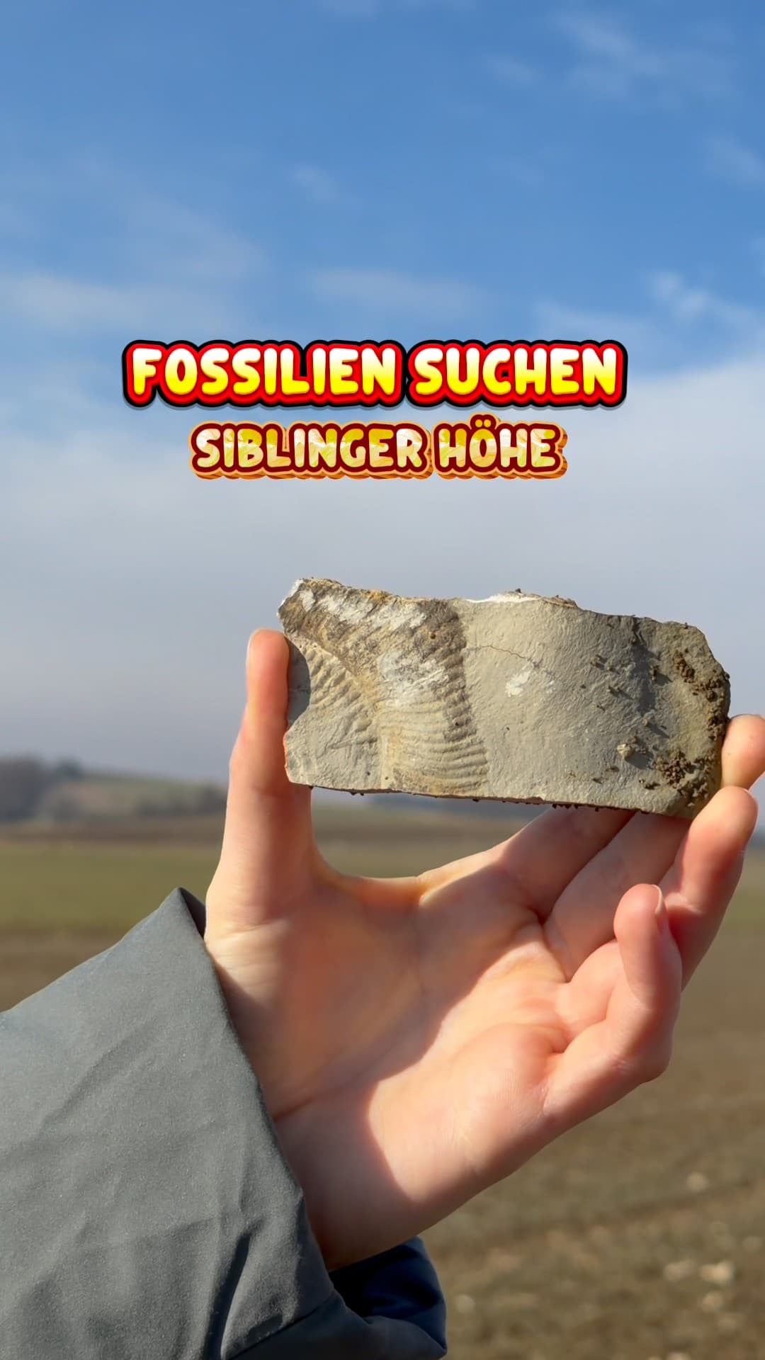 Siblinger Höhe