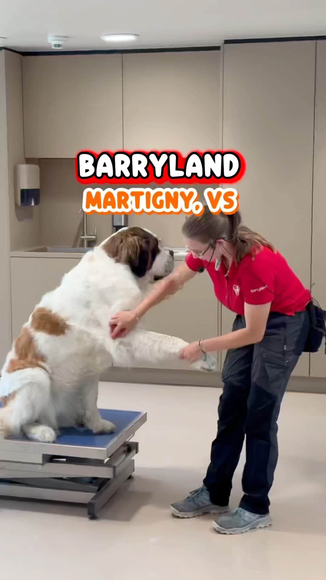 Barryland