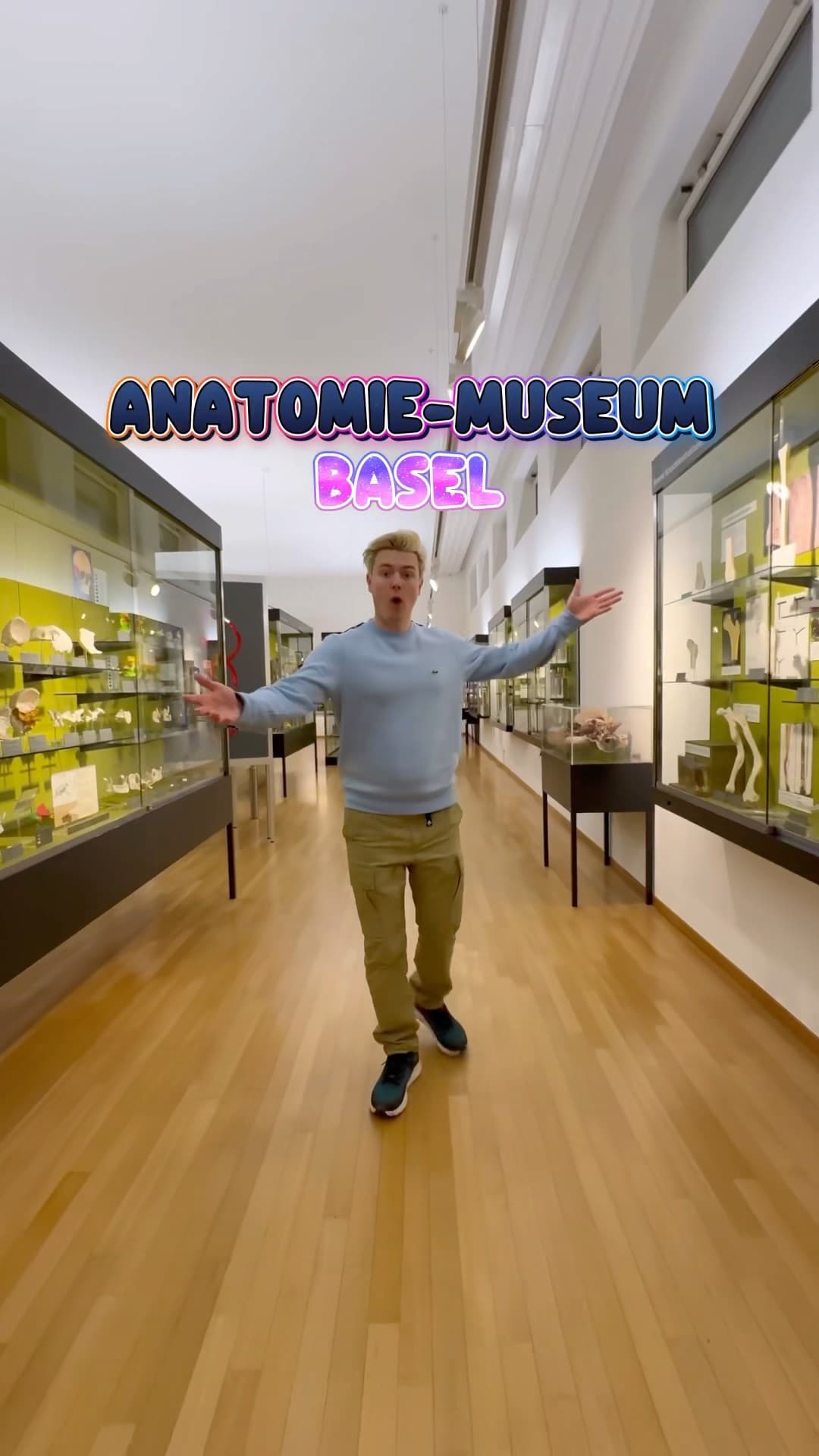 Anatomisches Museum