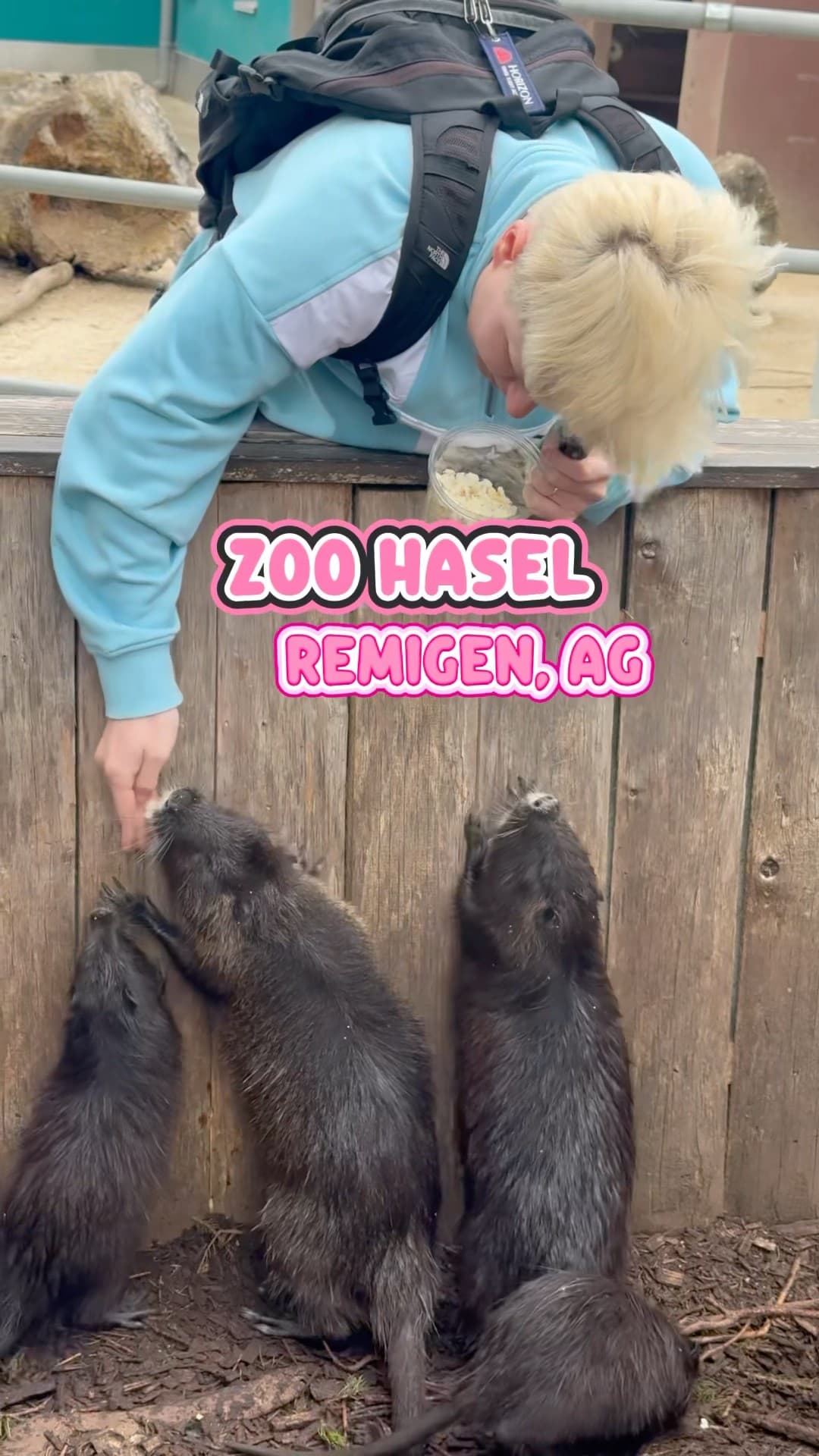 Zoo Hasel