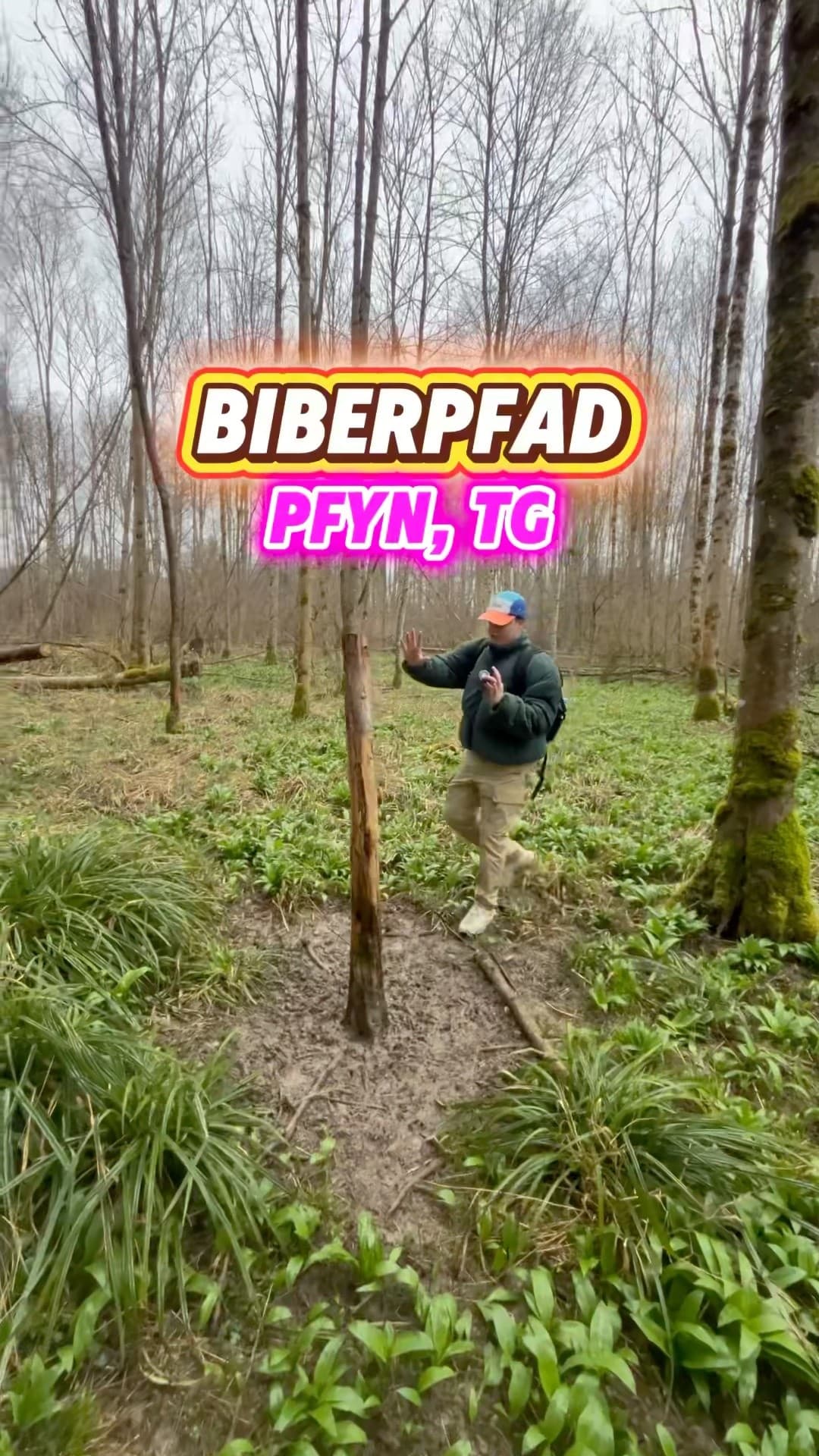Biberpfad Pfyn