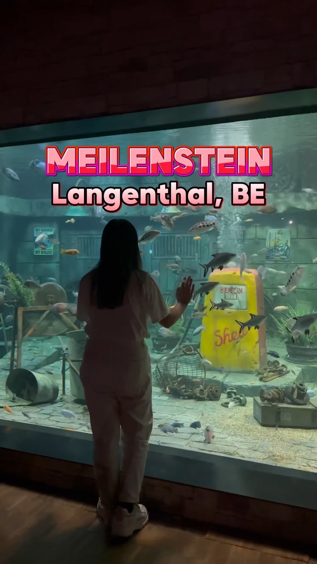 Hotel Meilenstein